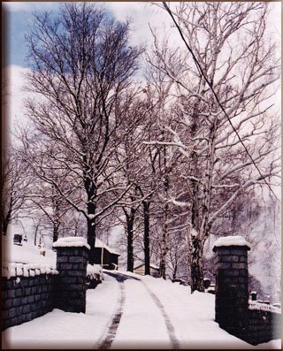 The Shamokin Cemetery --Burials